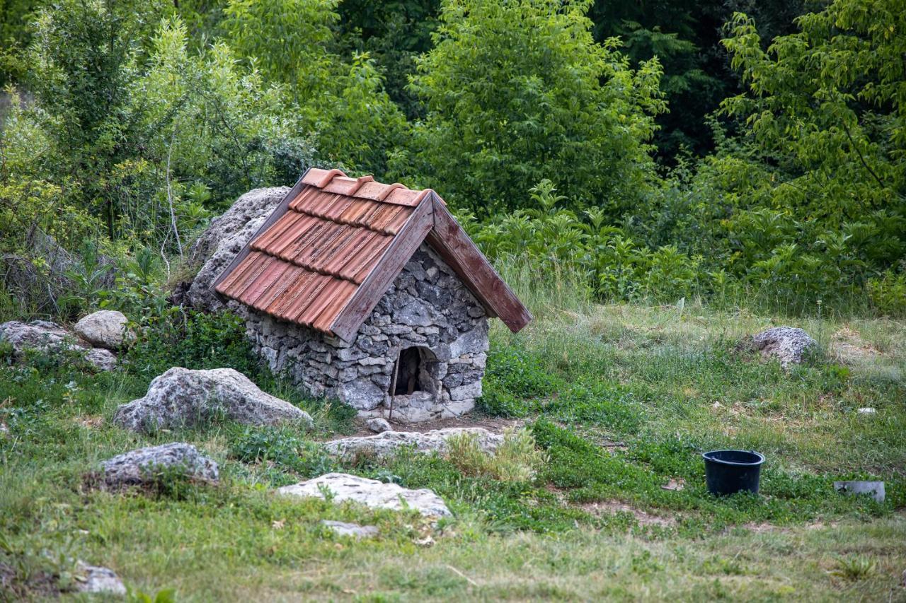 Casa Agricultorului Varzari Butuceny Exteriér fotografie