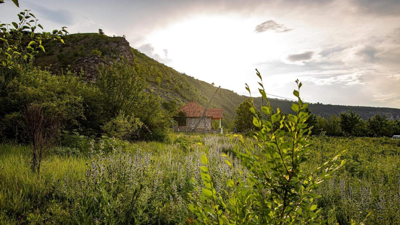 Casa Agricultorului Varzari Butuceny Exteriér fotografie