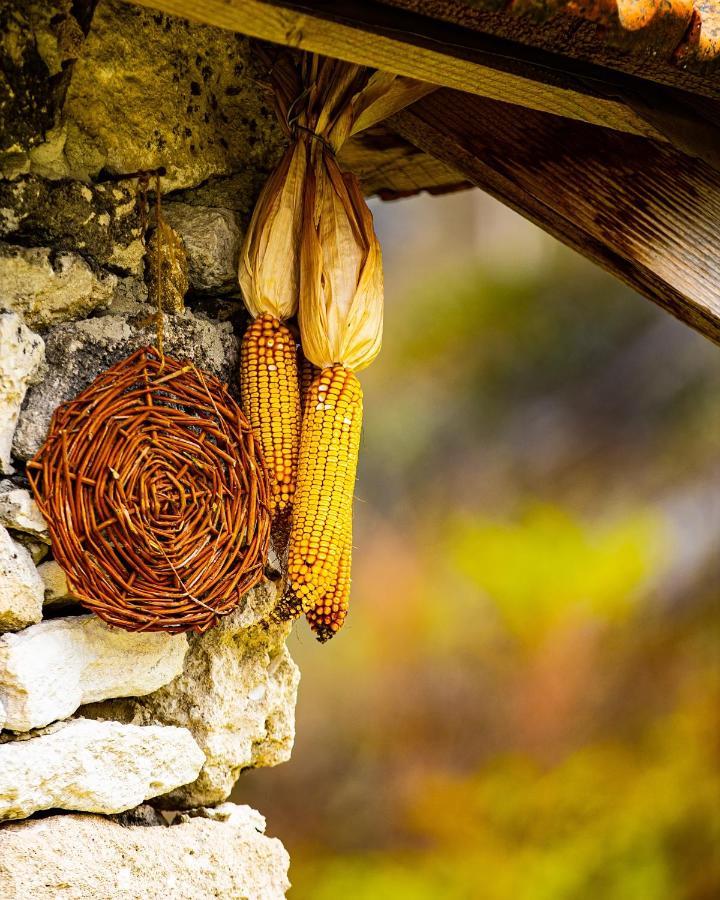 Casa Agricultorului Varzari Butuceny Exteriér fotografie