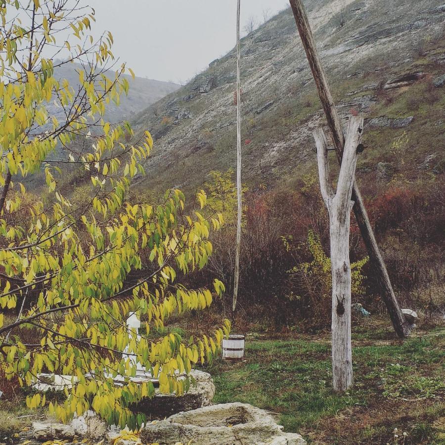 Casa Agricultorului Varzari Butuceny Exteriér fotografie